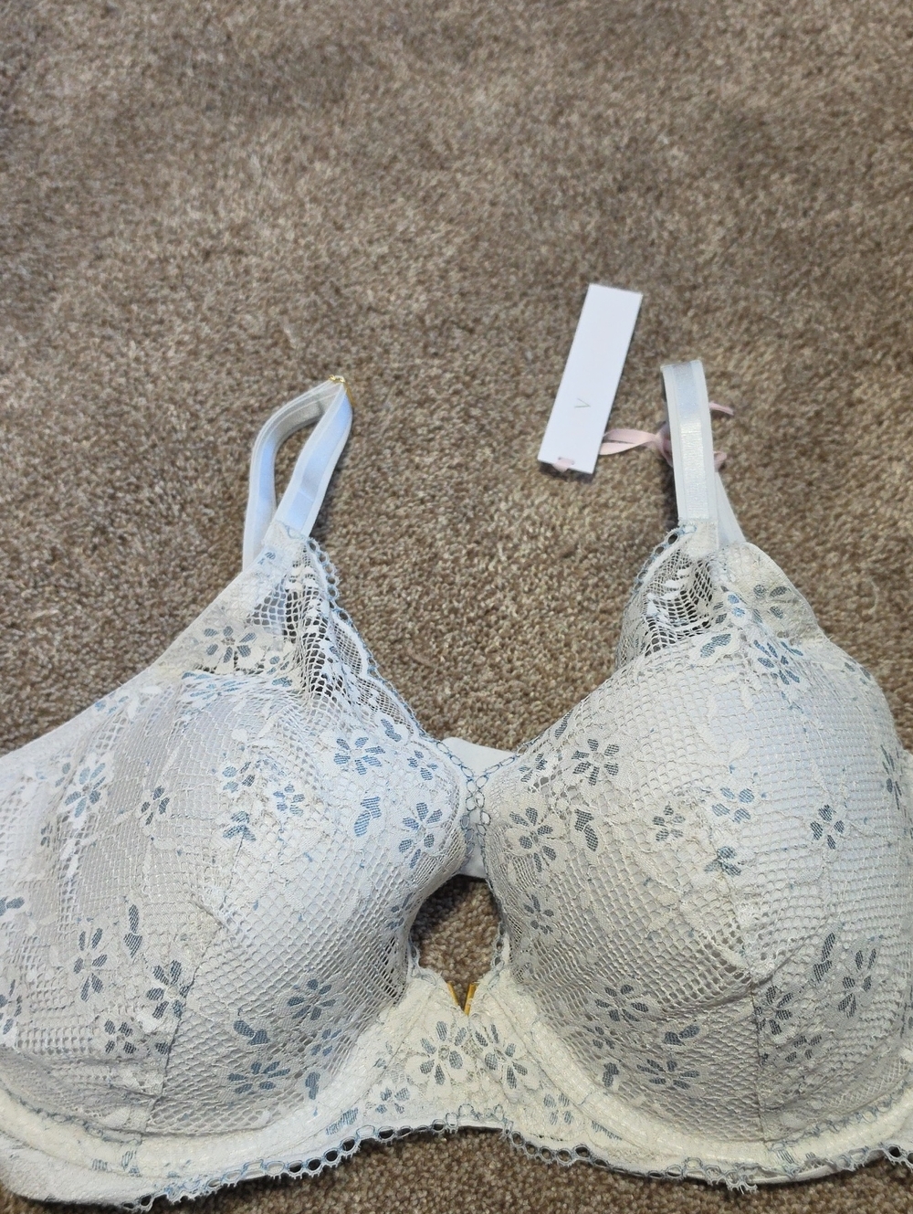 Nwt Victoria's Secret Light Cloud Lace Floral Underwire Bra - Light Blue 38DD